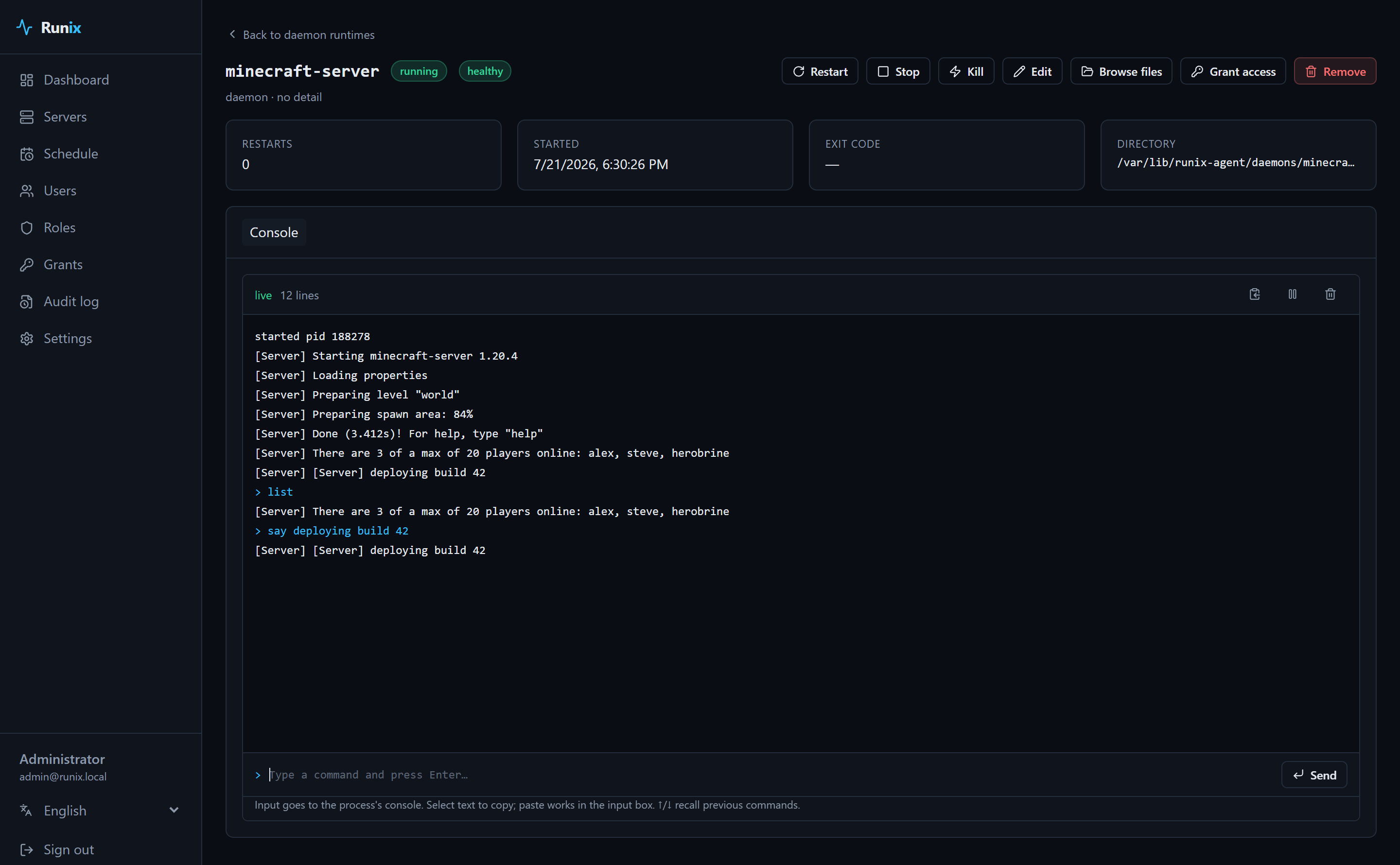 Interactive runtime console
